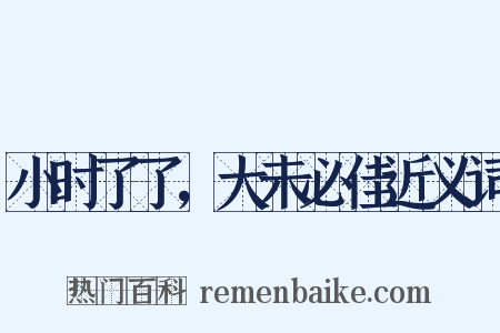 小时了了，大未必佳近义词是什么意思的图片